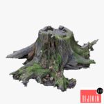 Large tree stump