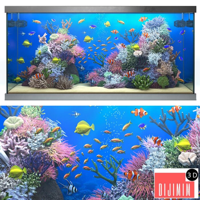 Seawater aquarium - Görsel 1