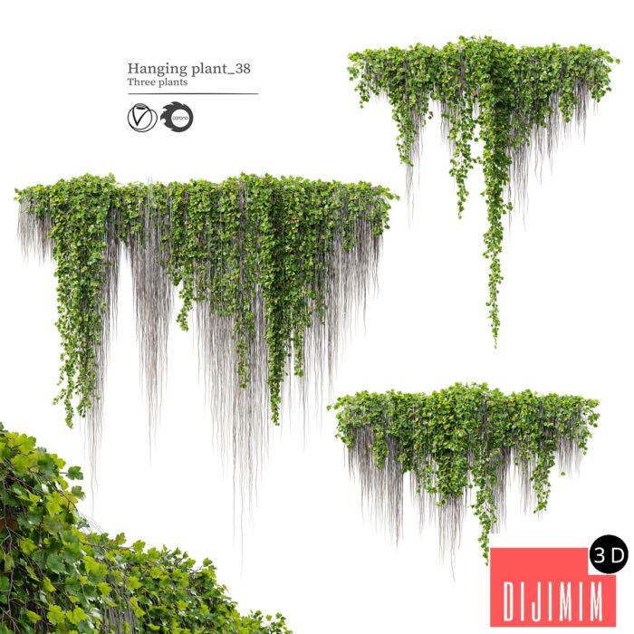 Hanging Plant 38 - Görsel 1