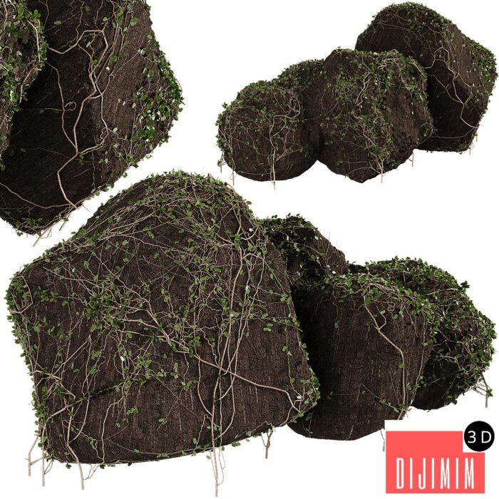 Ivy on stones 01 - Görsel 1