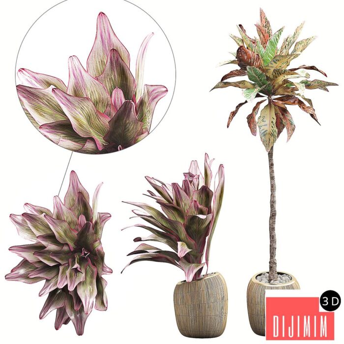 INTERIOR FLOWER PACK 34 - Görsel 1
