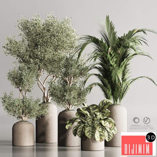 Indoor Plant Set 103