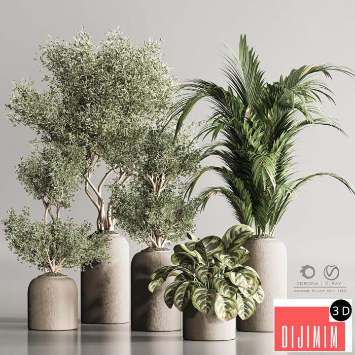 Indoor Plant Set 103 - Görsel 1
