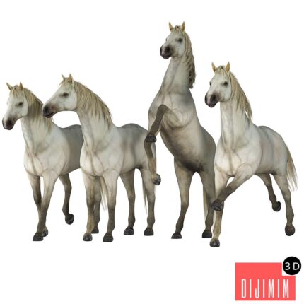 Horse in 04 Poses