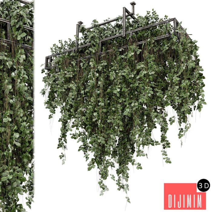 Indoor Hanging Plants in Metal Box - Set 2009 - Görsel 1