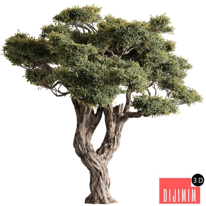 Ola Tree Set 294 - Görsel 1