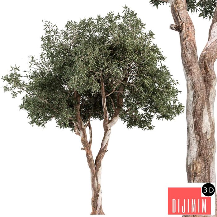 RedGum Tree - Tree Set 175 - Görsel 1
