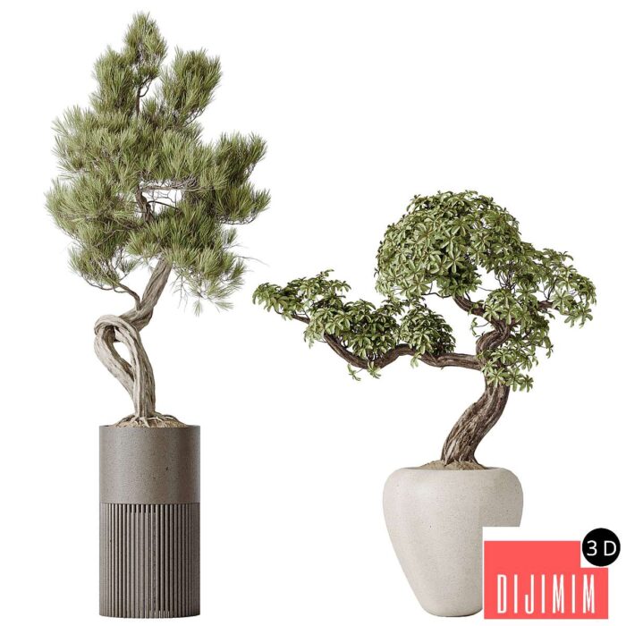 Indoor plant set 23 - Görsel 1
