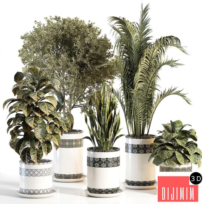 indoor plant 02 - Görsel 1