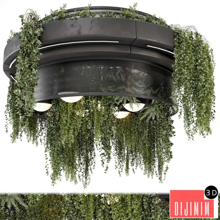 Indoor Hanging Plants in Metal Box - Set 1506 - Görsel 1