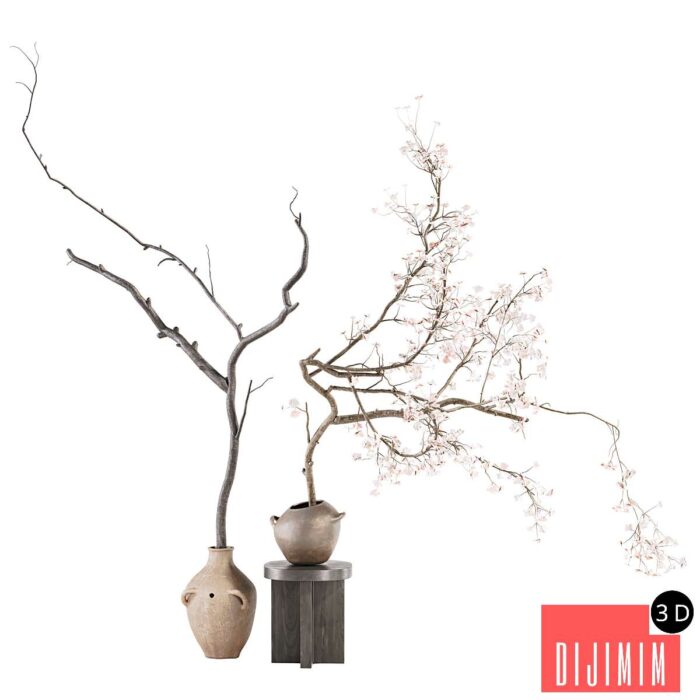 Indoor Plant 03 - Görsel 1