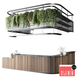 Coffee shop reception, Restaurant counter by hanging plant - 03