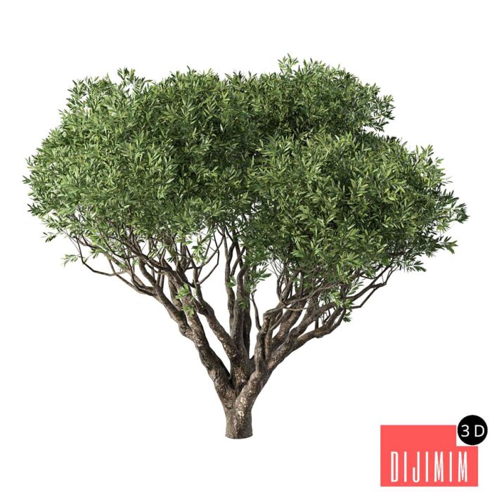 Tree No.89 - Görsel 1