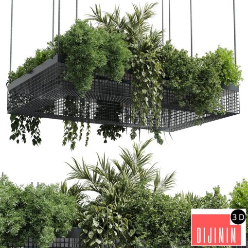 hanging plants - indoor plant set 447 Rectangle pendant pot vray