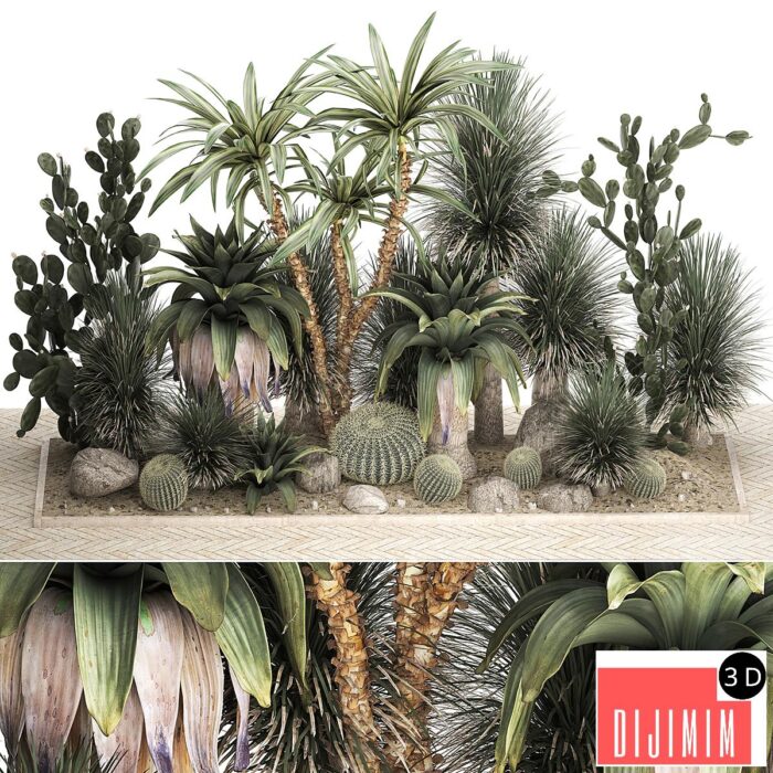 Collection of desert plants from cacti, Yucca and prickly pear, carnegie, Dracaena thickets, botanical garden. 1108. - Görsel 1
