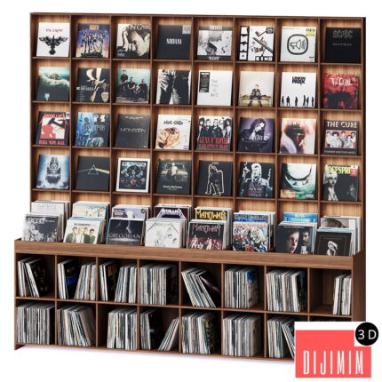 Rack with vinyl records for home or store