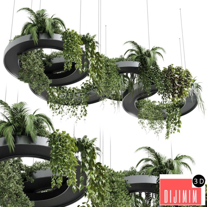 Hanging Plants - Indoor plants 309 - Görsel 1