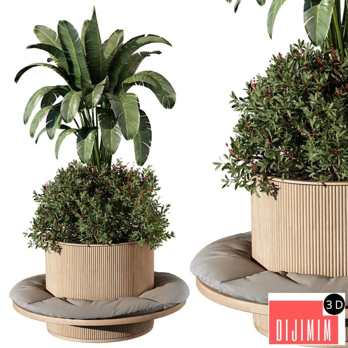 indoor Plant 249 - Görsel 1