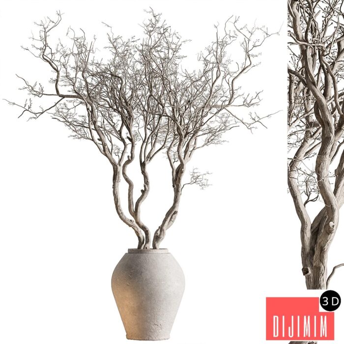 Indoor Plant 703 - Dry Tree - Görsel 1