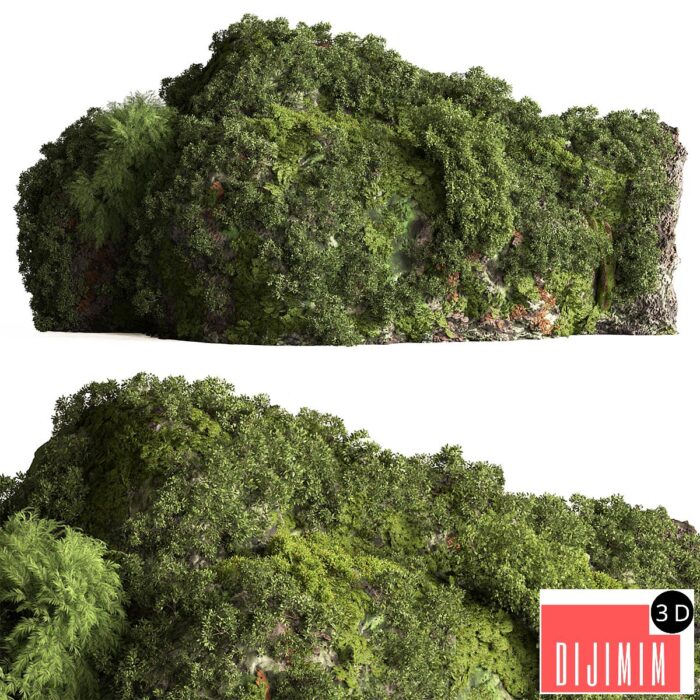 Moss on Stones 08 - Görsel 1