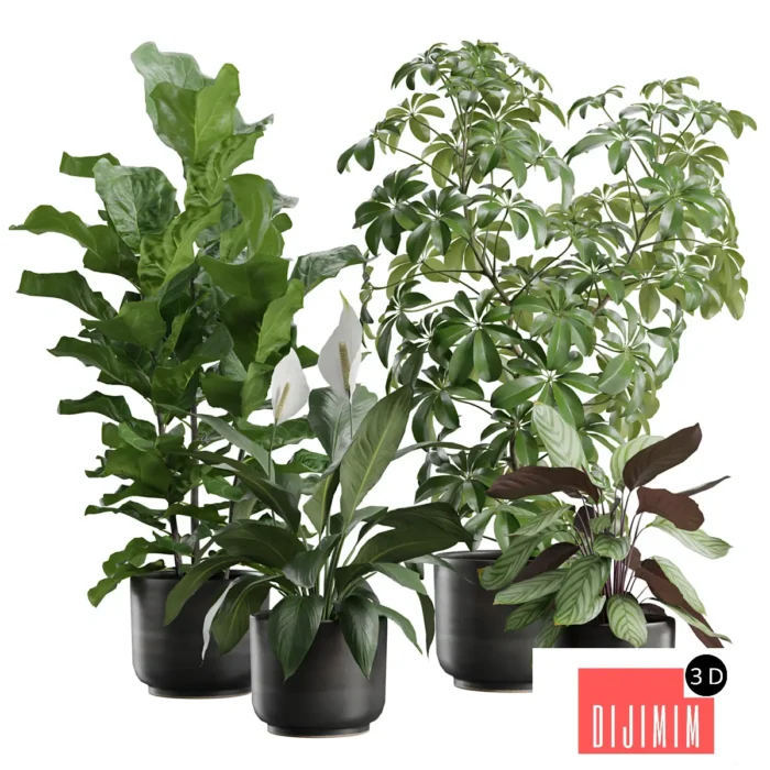 Indoor Plants Pack 78 - Görsel 1