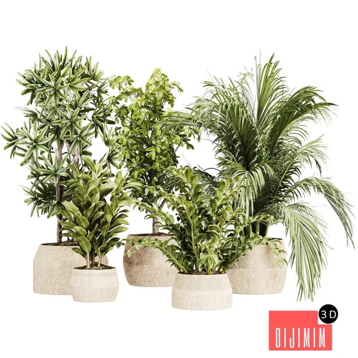 IndoorPlantset25 - Görsel 1