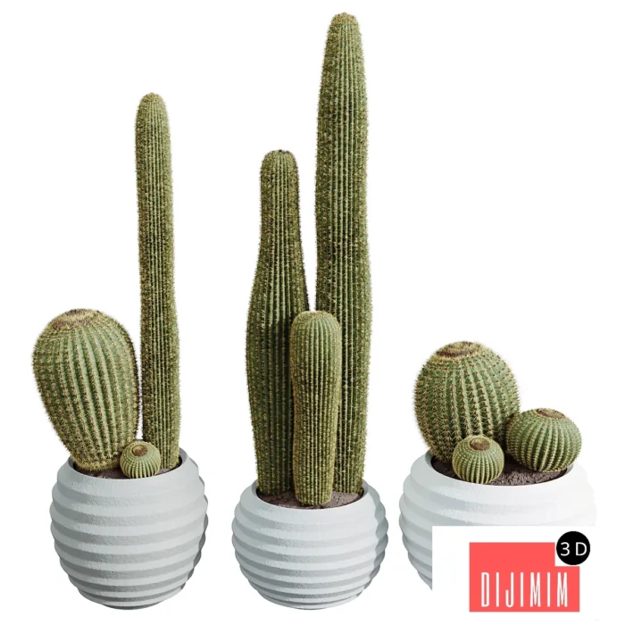 AV HousePlants Cactus Echinocactus Grusonii Golden Barrel Tree - Görsel 1