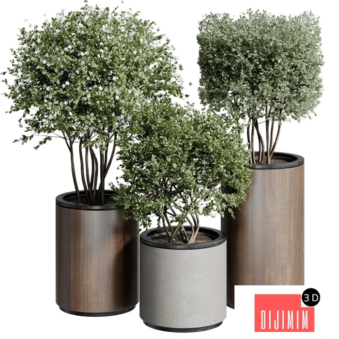Outdoor Plant 25 - Görsel 1