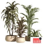 indoor plant set 89