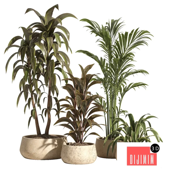 indoor plant set 89 - Görsel 1