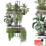 indoor plants in metal box 1580