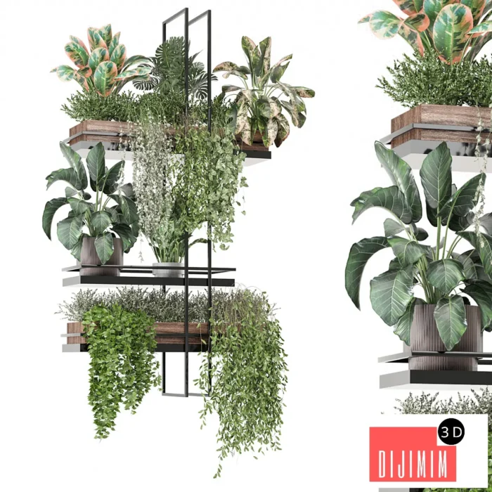 indoor plants in metal box 1580 - Görsel 1