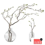 Branches with green buds