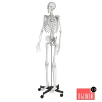 part191 - Görsel 25