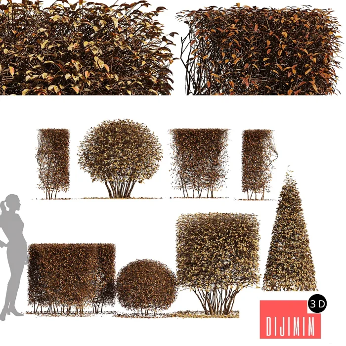 part190 - Görsel 23