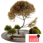 Model
