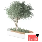 Model