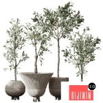 5671756.6506e350b97d3